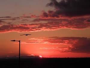 Qualifications & Experience. hunstanton susnset with seagull and lamp